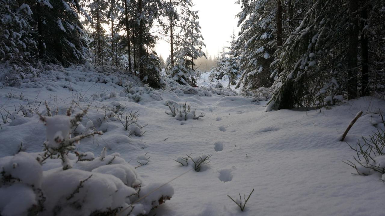 Bjoernvalsfallet Deje Esterno foto